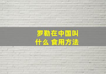 罗勒在中国叫什么 食用方法